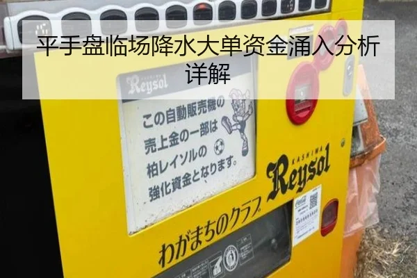 平手盘临场降水大单资金涌入分析详解