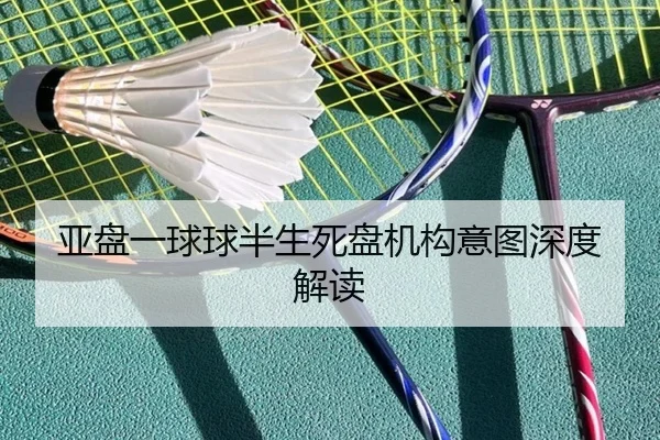 img_1781095247947_27_1_539.jpg